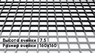 Георешетка 75 Ячейка: 160х160